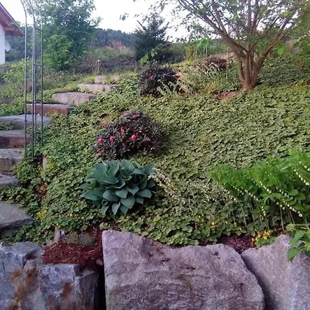 公寓 Am Buehl 卡姆